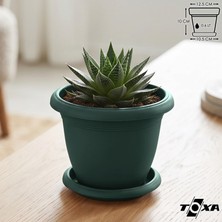 TemmuzX Tabaklı Yuvarlak Plastik Villa Saksı (Yeşil, 0.6 Litre)