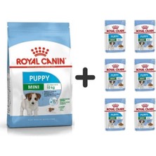 TemmuzX Mini Puppy Yavru Köpek Maması 4 kg + 6 Adet Yaş Mama