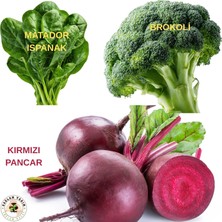 Sağlam Tarım Tohum Seti (Brokoli, Kırmızı Pancar, Ispanak)