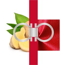 Aydogan's Salvatore Ferragamo Ferragamo Red Leather Eau De Parfum 100 ml Erkek Parfüm, 5003155800