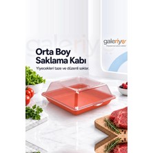 Galeriyo Derin Dondurucu Saklama Kabı Orta Boy Turuncu
