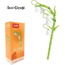 Ctoys Çiçek Yapım Blok Seti Florist 9095-5 Inci