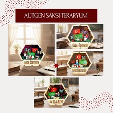 Hace Bazaar Altıgen Saksı Teraryum - Öğretmenler Günü Hediyesi