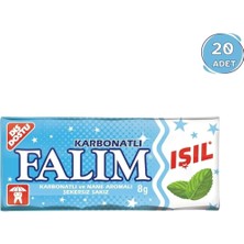 TeknoKapsül Falım Işıl Nane Aromalı Karbonatlı Şekersiz Sakız Stick 8g