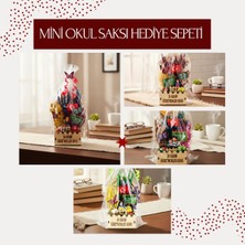 Hace Bazaar Mini Okul Saksı Hediye Sepeti - Öğretmenler Günü Hediyesi