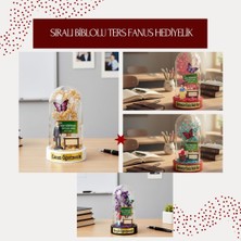 MiraLive Sıralı Biblolu Ters Fanus - Öğretmenler Günü Hediyesi