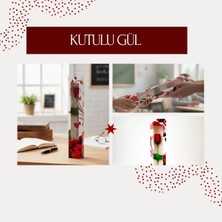 MiraLive Kutulu Gül - Öğretmenler Günü Hediyesi