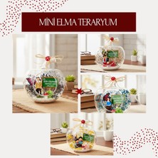MiraLive Mini Elma Teraryum - Öğretmenler Günü Hediyesi