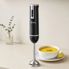 Aydogan's Çubuk Blender 300W Çelik Uçlu
