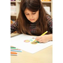 25X35 cm Akademi Çocuk Tükenmez Resim Defteri, Ressam Kediler Temalı