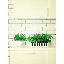 TemmuzX Videolu Mutfakta Bitki Seti Saksıda Kekik Biberiye Adaçayı (10 15 Cm) 3 Adet Fidesi Kitchen Herb Set