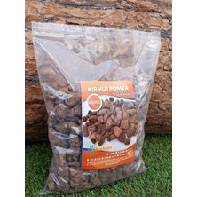 TemmuzX Asenya Kırmızı Pomza Taşı 15-25 mm 5 Lt (2,5 Kg) Volkanik Ponza Lav Taşı Kaktüs Sukulent Tarım Pomzası