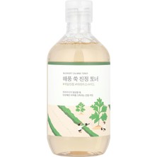 TemmuzX Mugwort Calming Toner - Cilt Rahatlatıcı ve Iyileştirici Cilt Bakım Toniği