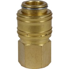 Die Grup Einhell Orijinal Hızlı Bağlantı Nipeli, R 1/4" 4139206
