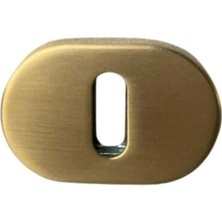Mythriva System RO16 Kapı Kolu Rozeti Oda Gold Branch 58X37X11 mm