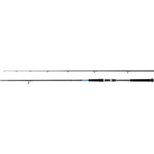 Vionna Shimano Kamış Bassterra Xt Shore Jigging 10'0" 30-100G