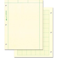 Vionna National Bilgi Işlem Defteri, 5 x 5 Quad Cetvel ve Çizgisiz, 8,5 Inç x 11 Inç, 200 Yaprak (42389), Yeşil