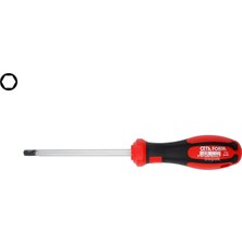 Şanal Ceta Form 5 mm Allen Uçlu Tornavida F22-050-100