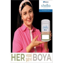 Myg Plus Bianca Stella Boya Akrilik Su Bazlı 1 Lt Antrasit