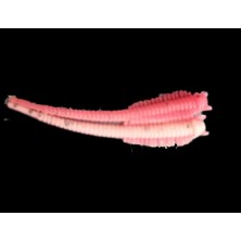 Myg Plus Spiinx Sandvorm Silikon 6cm 18P (Spk)