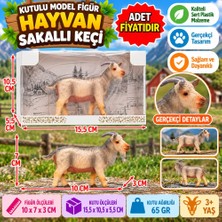 TeknoKapsül Kutulu Model Figür Hayvan Sakallı Keçi 7 cm (Adet Fiyatıdır)