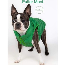 Küçük ve Orta Irk Köpek Montu, Salya Store Köpek Kıyafeti Şişme Köpek Mont