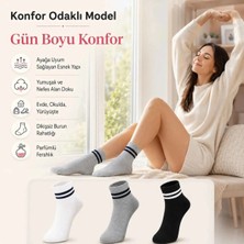 Liyuza Unisex Çizgili Bilek Çorap 12'li | %80 Pamuklu Dikişsiz Burun, Siyah Beyaz Gri Günlük Spor