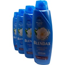 Odea Blendax Temizleyici Bakım Yasemin Özlü Şampuan 500 ml x 4 ADET,8690572798273