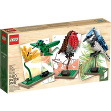 Rafta LEGO Ideas 21301 Birds