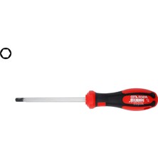Rafta Ceta Form 4 mm Allen Uçlu Tornavida F22-040-100