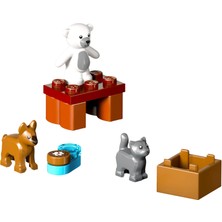 Rafta LEGO City - Hayvanlar - Oyuncak Ayı - Yavru Kedi - Yavru Köpek Orijinal Figürler