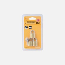 Rafta Kale Kilit 3 Ortak Anahtarlı Pirinç Asma Kilit 20MM Blisterli