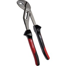 Rafta Brio Pense Papağan 250 mm