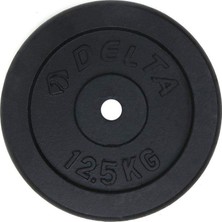Rafta Delta Unisex Dura-Strong Döküm Plaka Çi̇ftli̇ 12,5 kg x 2 Adet Plaka, Siyah, 25 kg