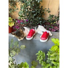 Scarpe Magiche Kırmızı Bağcıklı Kız Ayakkabısı (31-35 Numara Arası Işıksızdır )