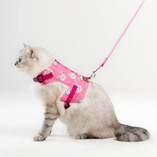 Patipatron Kaçış Önleyici Kedi Gezdirme Tasması ve Küçük Irk Köpek Gezdirme Tasması (L, Pembe Kedi Desenli)