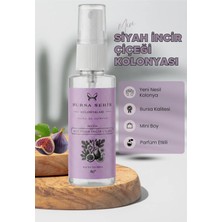Str Store Bursa Şehir Kolonyaları Misi Siyah Incir Çiçeği Kolonyası, 45 ml