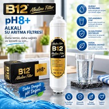 B12 Vitamin Alkali Filtre