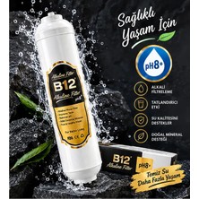 Gem B12 Alkali Filtre