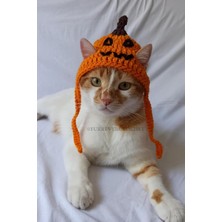 Jack-O-Lantern Balkabağı Örgü Kedi Köpek Şapkası Halloween Pet Aksesuar Korkunç Turuncu Pumpkin Bere