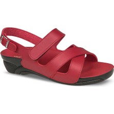 Ceyo Venedık-8 (35-40).zenne