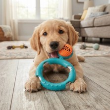 Alfa Brand Halatlı Disk Köpek Isırma Oyuncağı - Mama Ödüllü Mekanizma