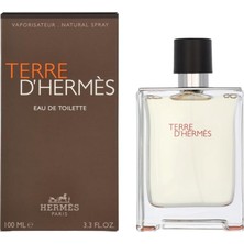 Wisipi Terre D Erkek Parfüm 100ML Edt