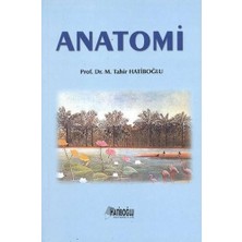 Wisipi Anatomi