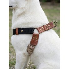 Balkonda Kişiye Özel Köpek Göğüs Tasması Ayarlanabilir Orta ve Büyük Irk Kolon Kordon Kamuflaj & Siyah
