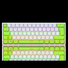 T-Dagger T-TGK321WG-LIT, Arena Lıte, USB Kablolu, Türkçe Q, Rainbow Backlight, Red Mekanik Switch, 61 Tuşlu, Gaming Klavye (Yeşil Beyaz)