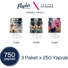 Papia Home Asmalı Havlu 750 Yaprak (3 Paketx250 Yaprak)