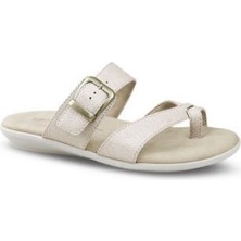 Ceyo 9827-29 (3541) Zenne