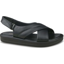 Ceyo 9986-3 (35-41) Zenne