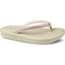 Ceyo 9986-7 (35-41) Zenne